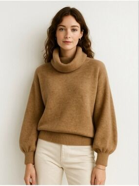 The Group Babaton Alpaca Wool Blend Adichie Sweater Camel Cowl Neck Aritzia S